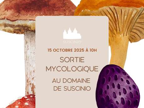 Sortie mycologique au Domaine de Suscinio