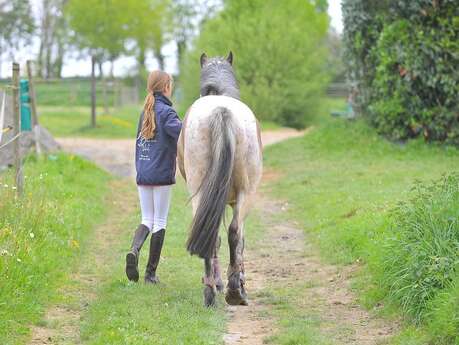 Domaine Equestre de Valaly