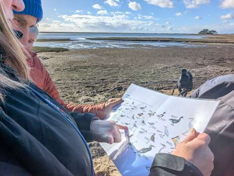 𝗟𝗲𝘀 𝗼𝗶𝘀𝗲𝗮𝘂𝘅 𝗵𝗶𝘃𝗲𝗿𝗻𝗮𝗻𝘁𝘀 𝗱𝗲 𝗹𝗮 𝗕𝗮𝗶𝗲 𝗱𝗲 𝗤𝘂𝗶𝗯𝗲𝗿𝗼𝗻 - Dunes Sauvages