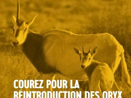 Un contre temps pour le vivant