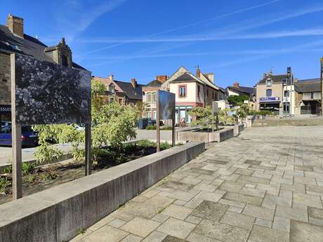 Exposition : Reg'Art ta ville