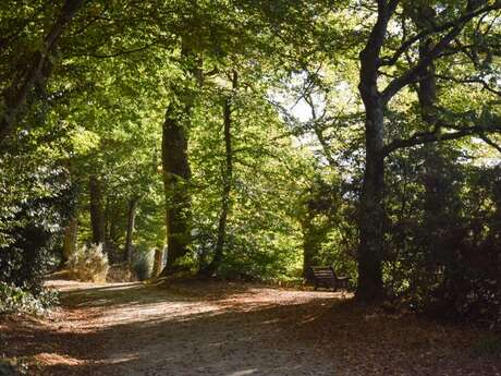 Nature sonore en Brocéliande : Sieste et cartographie sonores