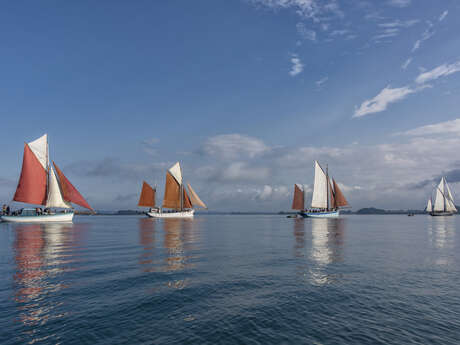 Voiliers Traditionnels du Morbihan