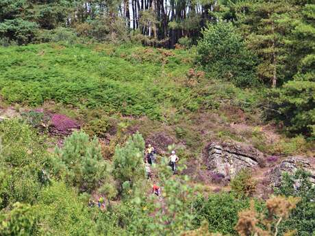 Site naturel d'escalade de la Chambre au loup
