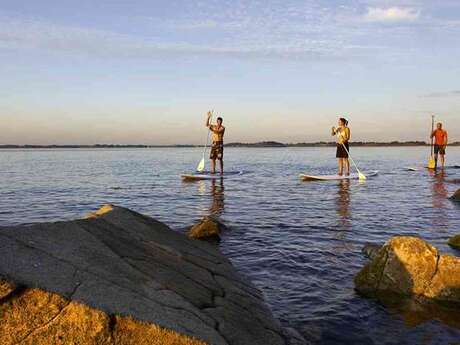 Balade nature dans le golfe du Morbihan en Stand Up Paddle