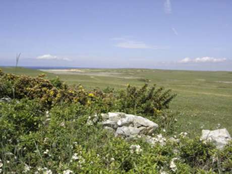 Dunes de Kerminihy-Kerhilio