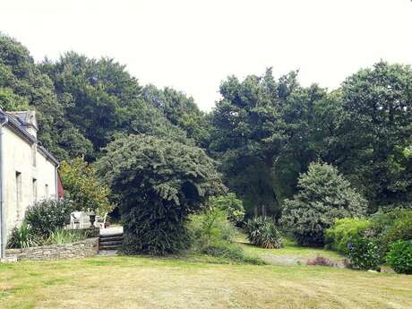 Gîte Les Hortensias