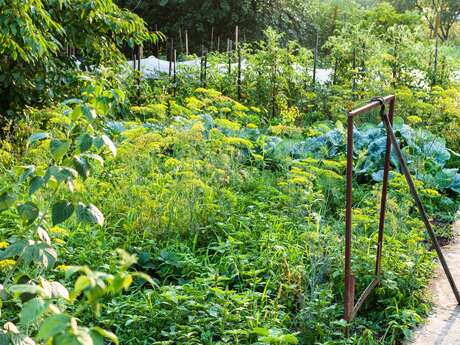 Créer un jardin nourricier