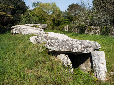 Mané Réthual Kerlud