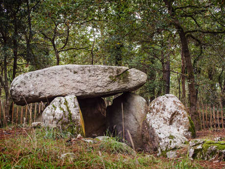 Dolmen de Mané Canaplaye
