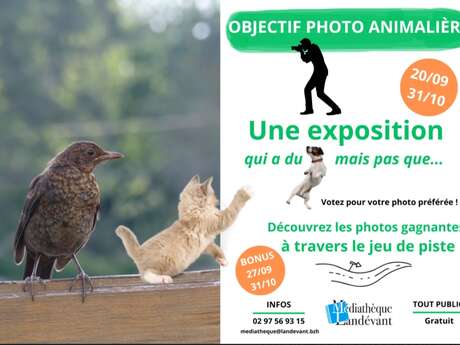 Objectif photo animalière