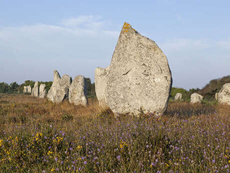 Visite guidée "Les constructeurs de menhirs"