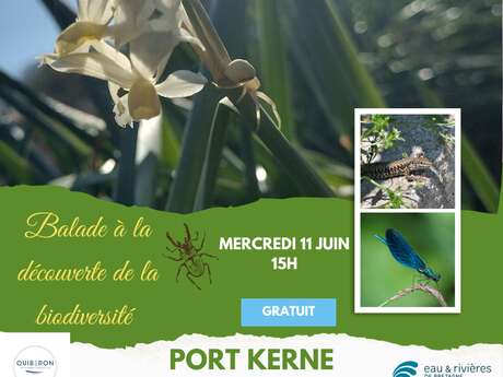 Balade à la découverte de la biodiversité de Port-Kerné