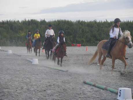 Maestria Equitation