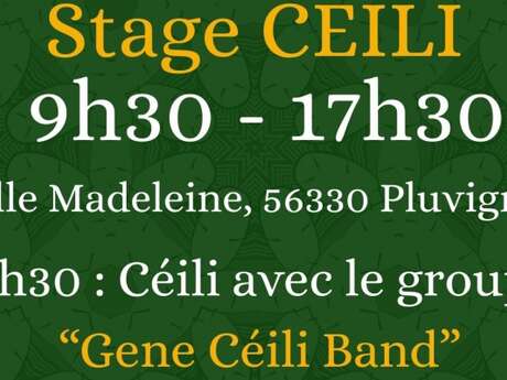 Stage de danses irlandaises