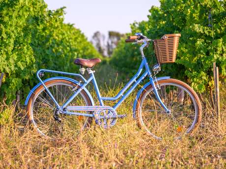 Beach Bikes Bretagne