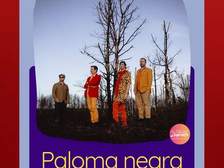 Paloma Negra - Flamenco, musique latine et jazz