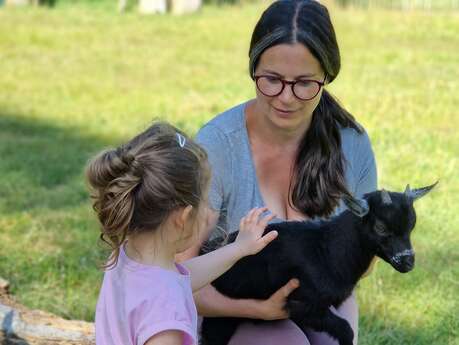 Visite guidée de la ferme