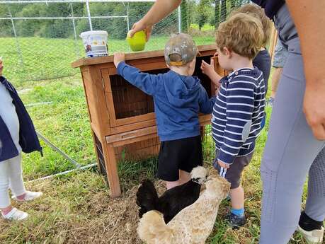 Visite guidée de la ferme