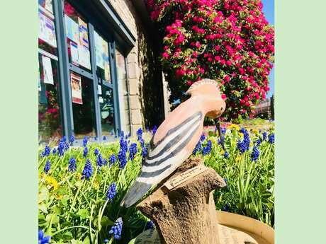 Exposition Les oiseaux de notre terroir
