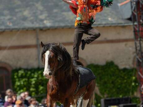 Spectacle équestre « Métamorphoses »