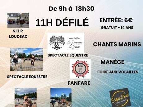 Fête du cheval