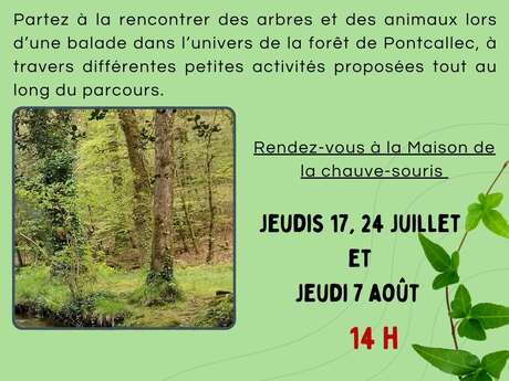 l’Appel du sauvage