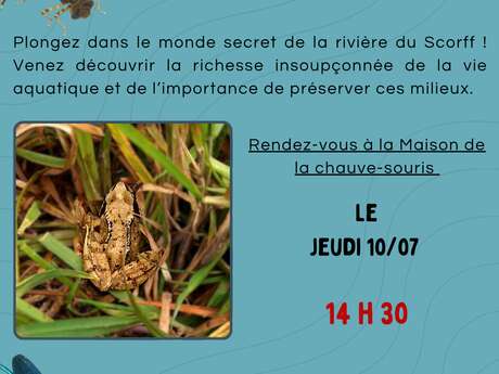 Les p’tites bêtes du cours d’eau