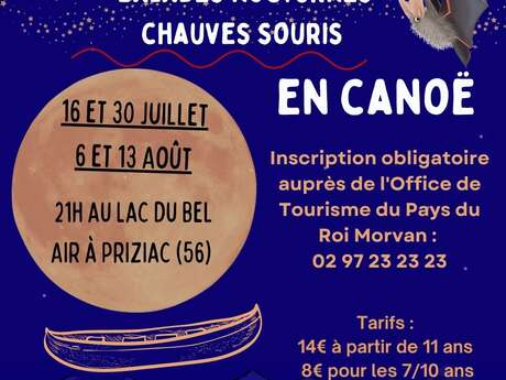 Balade nocturne chauve-souris