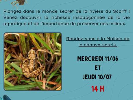 Les p’tites bêtes du cours d’eau