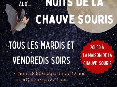 Nuits de la chauve-souris