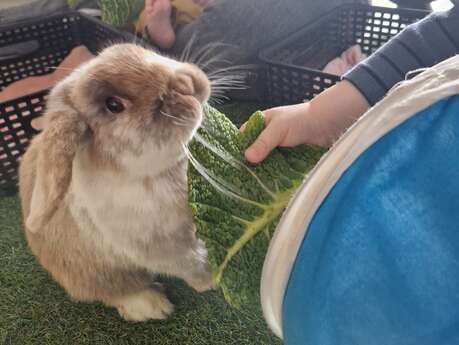 Atelier découverte sensorielle