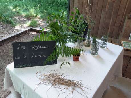 Fête de la Nature 2026 - Stands découverte