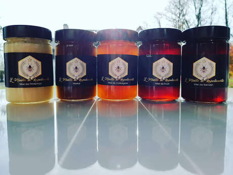 L'abeille de Napoléonville