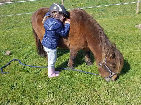 Balade à poney ou grand poney