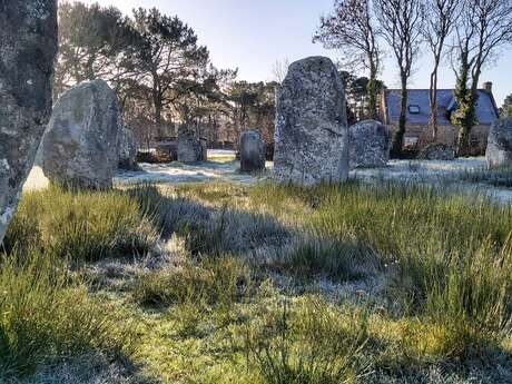 Visite découverte en famille des alignements de Carnac