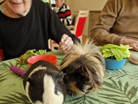 Atelier découverte sensorielle