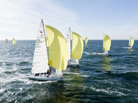 Challenge voile avec Yellow Impact Sailing