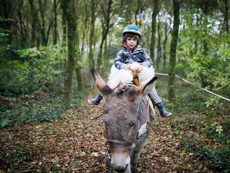Activités de loisirs équestres du Domaine de Kernanou