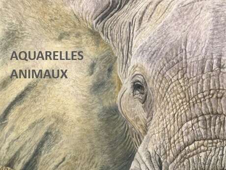 Exposition d'Aquarelles - Maison du Phare