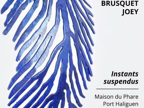 Exposition Joey Brusquet - Maison du Phare