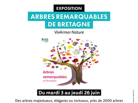 Arbres remarquables de Bretagne