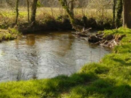 Parcours pêche Tarun à Kerbédic