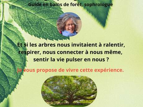 Par la grâce des arbres