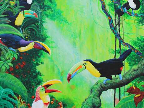 Nos oiseaux !