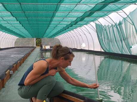 Causerie : Spiruline & Huitres Plates