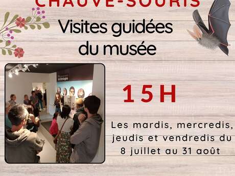 Visite guidée de la Maison de la chauve-souris