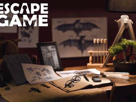 Escape Game "L'Affaire Penn-Dall"