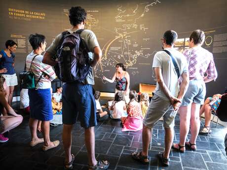 Visite flash "Une merveille du musée"