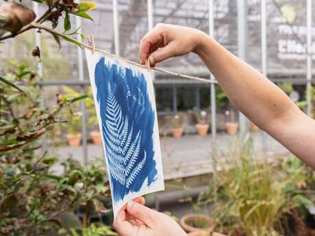 Atelier créatif: cyanotype